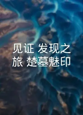 中国好声音1季全集