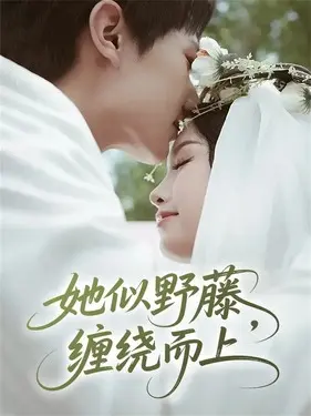 丁香色在线