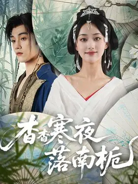 云飞丝路天