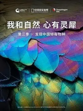 我的牙想你